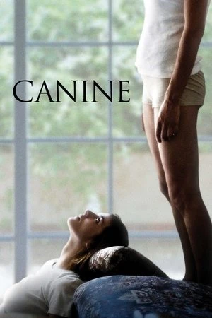 Regarder Canine en streaming complet