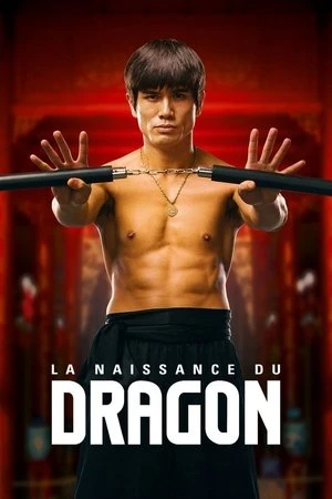 Regarder La Naissance du Dragon en streaming complet