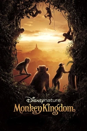 Regarder Au Royaume des Singes en streaming complet