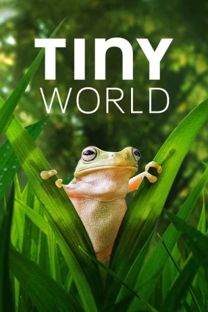 Regarder Tiny World - Saison 2 en streaming complet