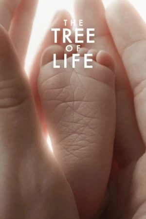 Regarder The Tree of Life en streaming complet