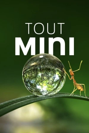Regarder Tiny World - Saison 1 en streaming complet