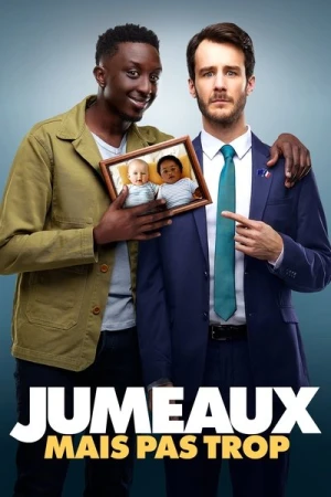 Regarder Jumeaux mais pas trop en streaming complet